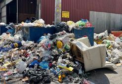 İzmir'de çöp yığınları arasında yaşam devam ediyor! 'O kadar alıştık ki bakmamaya çalışıyorum'