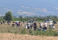 Bursalı çiftçi tarlasındaki patatesleri vatandaşlara ücretsiz dağıttı!