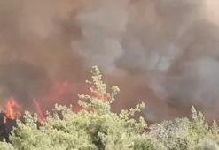 Adana'da orman yangını