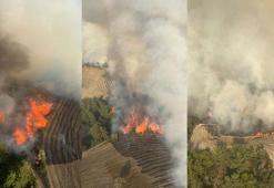 Adana'da orman yangını! 6 helikopter ve 2 uçakla müdahale ediliyor