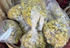 Eskişehir'de paketi 30 TL: Hacmi küçük talep büyük!