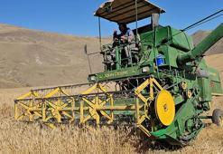 Adilcevaz Uzunsırt Yaylası'nda 300 dönüm arazide buğday hasadı yapıldı