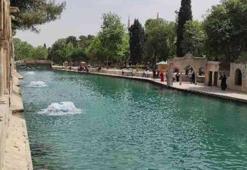 Şanlıurfa Balıklıgöl hakkında: Hikayesi, tarihi, bulunduğu yer ve daha fazlası