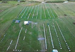 Türkiye'deki nadir yerlerden bir tanesi! Kilosu 1500 TL'den satılıyor