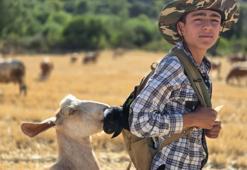 Oğlağı çantasında taşırken keçi takibe aldı: Çobanın zor anları kameraya yansıdı