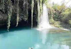Düden'de kirlilikten sonra görüntülendi: Nesli yok olma tehlikesi altındaydı!