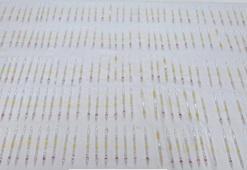 Burdur'da ele geçirildi: Piyasa değeri 60 milyon lira!