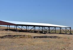 Eskişehir'de 5 bin yıllık ekmek bulundu! Kazı alanında çalışmalara Fransız maya şirketi sponsor oldu