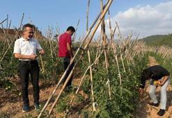 Adana'da köylüler birleşti atıl arazilerden para kazanmaya başladı! 3 dönümle ilk adımı attılar şimdi 9 dönüm işliyorlar