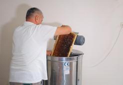 Kahramanmaraş'ta yıllar sonra bal bereketli! Yayla ballarında sağım dönemi başladı!