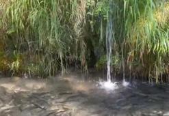 Denizli'de gezilecek önemli yerler