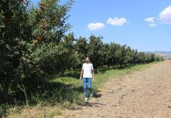 En meşhuru burada yetişiyor! Kilosu 50 liradan satılmaya başlandı