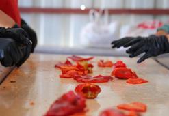 Kahramanmaraş'ta hummalı çalışma başladı! 60 gün sürecek, hem yurt içinden hem de yurt dışından yoğun talep var