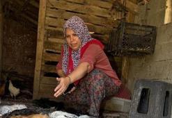 22 yıl yaptı, sabah namazından sonra kümese bakınca inanamadı