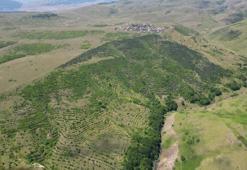 Tokat'ta köylüler imece usulü yaptılar! Çorak araziye 25 yılda 25 bin fidan diktiler hem orman hem de suyu getirdiler