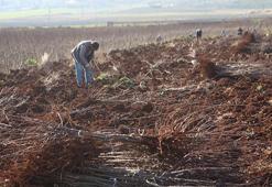 Tüm Türkiye'yi sardı, kriz patlak verdi! Kısıtlamalar kapıda: Petrolden daha pahalı olacak