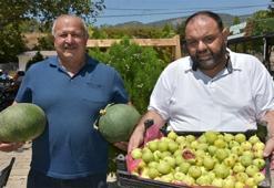 İzmir'de susuz yetişiyor! 700 yıllık mahallede festivalle kutladılar