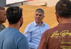 Adana'da tarlalar sarıya boyandı! Rekolte 1 milyon tonu aşacak