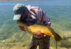 Yakaladığı 15 kiloluk sazanı öperek tekrar suya bıraktı