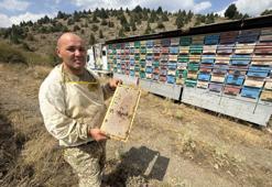 Mobil tır ile bal üretiyor! Kovanları indirmeden her yerin lezzetinden alıyor