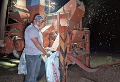 Düzce'de harman yerinde nöbet başladı: Fındık başında sabahlıyorlar