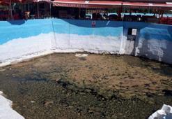 Eskişehir'in önemli su kaynağı resmen kurudu!