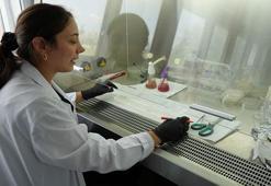 Rusya'dan gelen tehlike! Ağustos ve Eylül aylarına dikkat: Alerjisi olanları etkiliyor