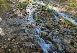 Balıkesir'deki şiddetli deprem sonrası korkutan değişim! Uzmanlar tek tek açıkladı