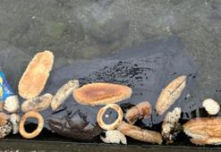 Yüzlerce ekmeği denize döktüler! Rize'de vicdanları dile getiren görüntü