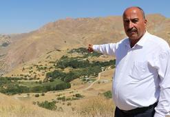 Yüksekovalı köylülerden anlamlı hareket! Yaban keçilerine sahip çıktılar sayıları arttı