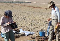 İngiltere'den Şanlıurfa'ya tek bir şey için geldi! Dünyada böylesi yok: Birçoğu ortaya çıktı