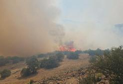 Balıkesir'de orman yangını