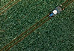 Çiftçi Kayıt Sistemi'nde önemli değişiklik! Resmi Gazete'de yayımlandı