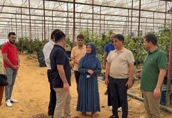 Kimsenin cesaret edemediği O yaptı, 30 yıl önce sadece denemek için başladı! Şimdi 300 dönümden fazla alanda üretim yapıyor