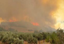 Denizli'de 4 günden beri devam eden yangına müdahale ediliyor! 871 personel gece gündüz çalışıyor