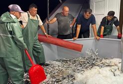 Karadeniz'de 'vira bismillah' sesleri yükseldi: Balıkçılar hasret giderdi! Sezonun ilk balıkları ağlara takıldı