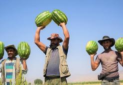 Burası ne Adana ne de Diyarbakır! Bir kent turnayı gözünden vurdu, 2 milyar liralık gelir bekleniyor