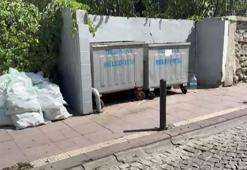 Bebeğinin cesedini çöp konteynerinin yanına bırakıp alışverişe gitmiş! Cani anne gözaltına alındı