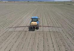 Atıl araziler üretime açılıyor! Kiralık tarla uygulaması başladı