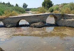 Aydın'da şaşırtan keşif! Tarihi köprü temizliğinde hazine bulundu!