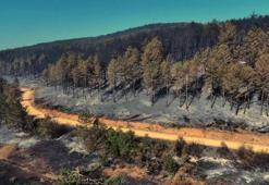 Karabük'te acı manzara: Yangından sonra görüntülendi