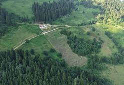 Trabzonlu emekli öğretmen 200 ligarba fidanı ekti kârını beğenince sayısını bin 750'ye çıkardı! Şifa kaynağı meyve büyük talep görüyor