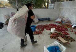 İş bulamayınca tüm birikimini kullandı! Köyüne üretim merkezi kurdu! Her şeyi tek başına yapıyor