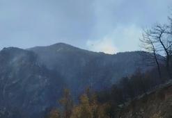 Denizli'de yürekleri dağlayan görüntüler! Dağlarının yeşil örtüsü siyaha büründü