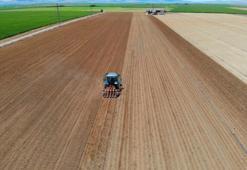 ‘Kiralık tarla’ uygulaması başladı! Uzmanlar uyardı, Bakanlık uydu görüntülerinden tespit ediyor