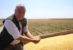 Son 65 yılın ek kurak yılının yaşandı! Hasatta rekolte kaybı yaşandı