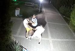 Oğluyla kavga eden 13 yaşındaki çocuğu darbetti! İşte o anlar