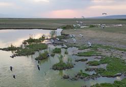 Bitlis ziyaretçilerini uğurluyor: Sonbaharla dönüş başladı