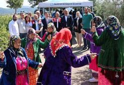 Balıkesir'de şenlik havasında 'süper meyve' hasat edildi! Kazancı yüksek olan ürünün ekim alanı 21 kat arttı