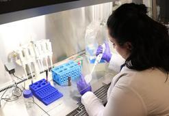 Kütahya'dan sağlıkta devrim yaratacak buluş: Bağırsak hastalıklarına bor mineralinden çözüm ürettiler